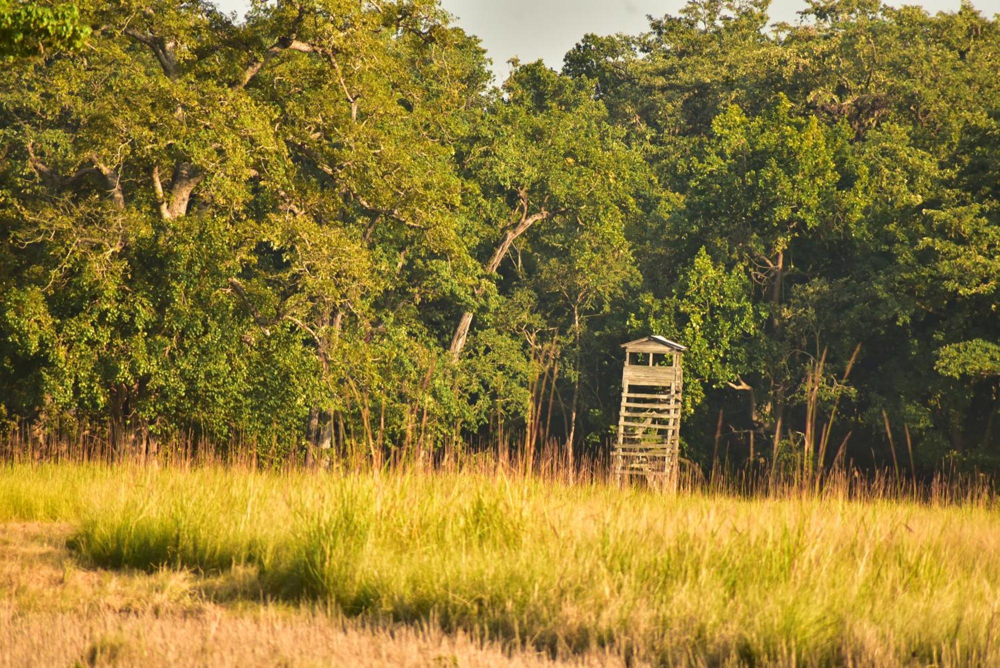 Bardiya Eco Safary Homestay 外观 照片